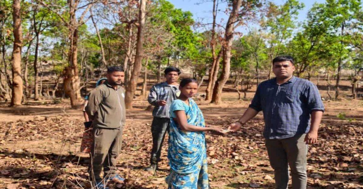 Gumla Elephant Attack Woman Dies During Mahua Collection