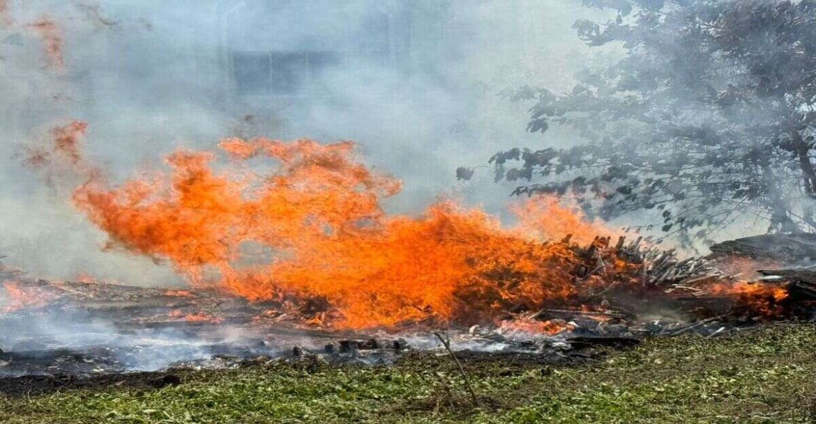 jamshedpur mango fire lakdi tal