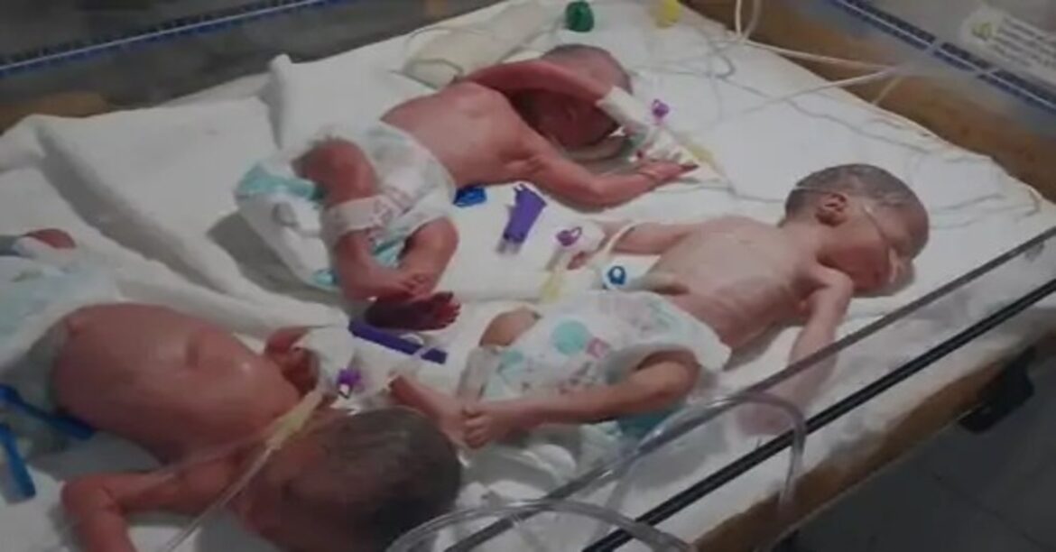 **Alt Text (English):** Newborn triplets (two boys and one girl) born to a woman in Jamtara hospital