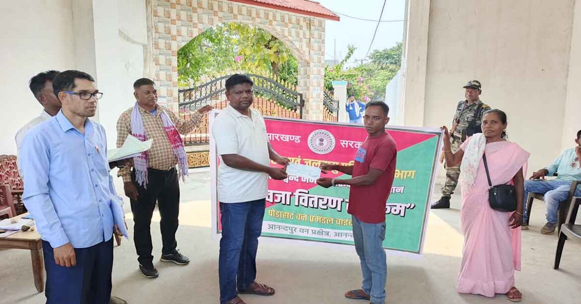 Elephant attack compensation Chaibasa