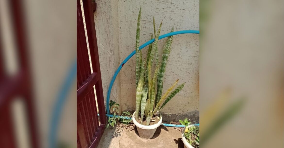 घर में पानी का कनेक्शन