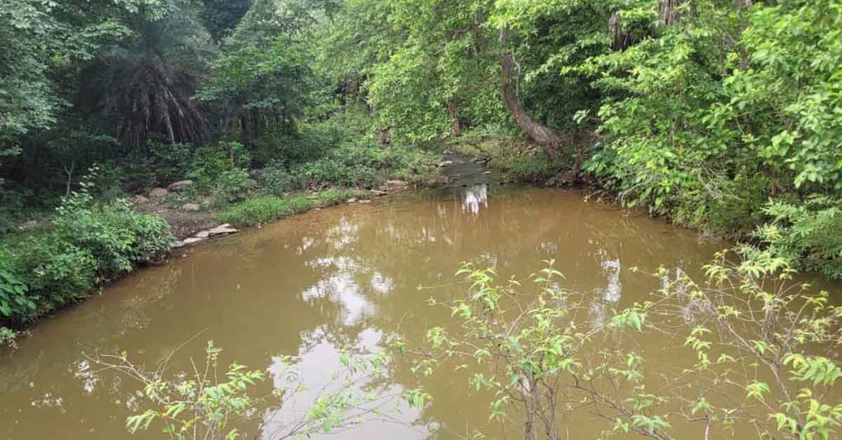 Rakha Copper Mines Water Pollution