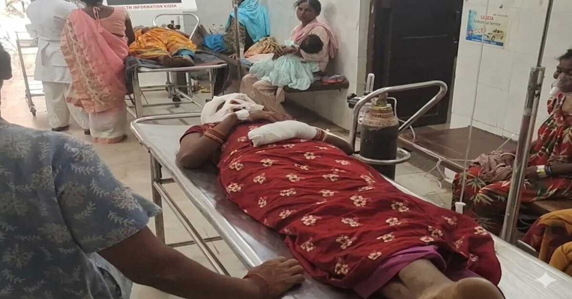 Wild bear attack injures newly married woman in Hatgamharia Chaibasa