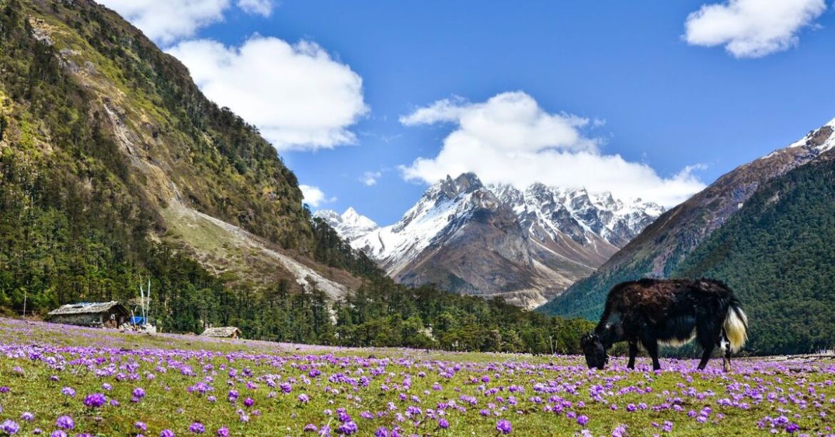 यात्रा वृतांत