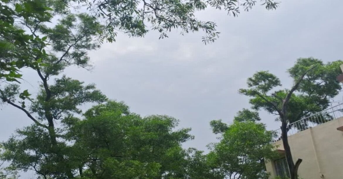 Jharkhand Thunderstorm Alert