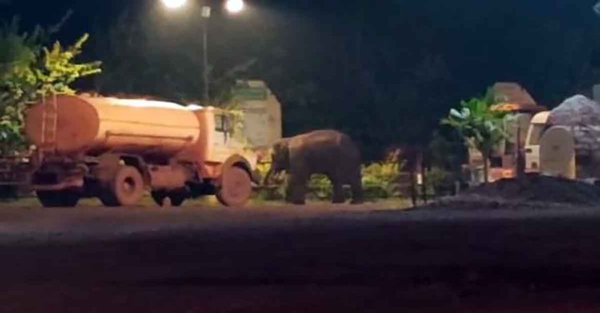 Kiriburu Elephant Alert