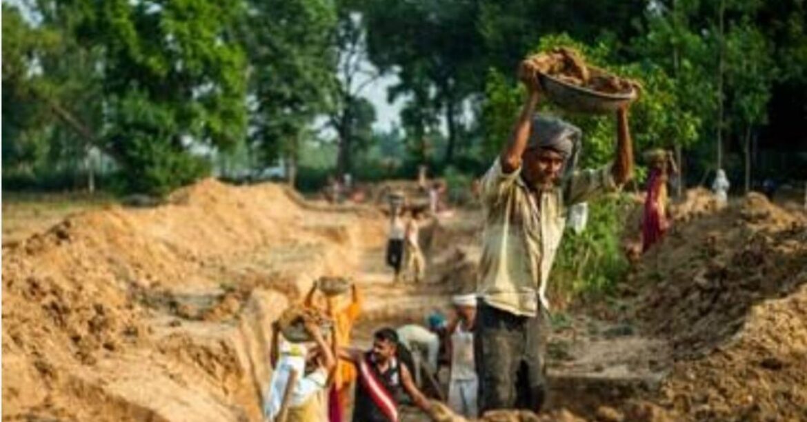 MGNREGA
