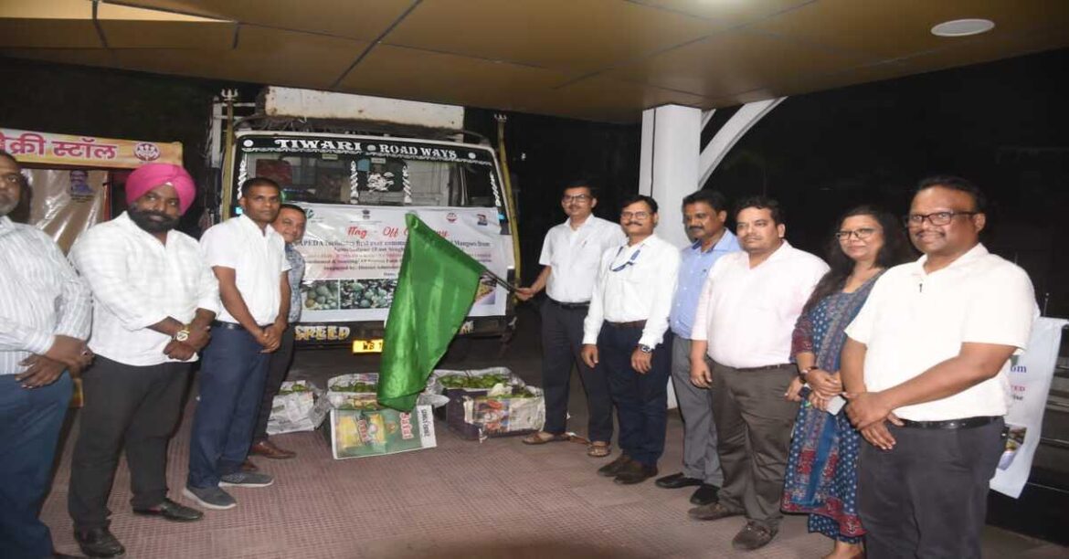 Jamshedpur Mangoes Reach International Market, First Consignment Exported to London