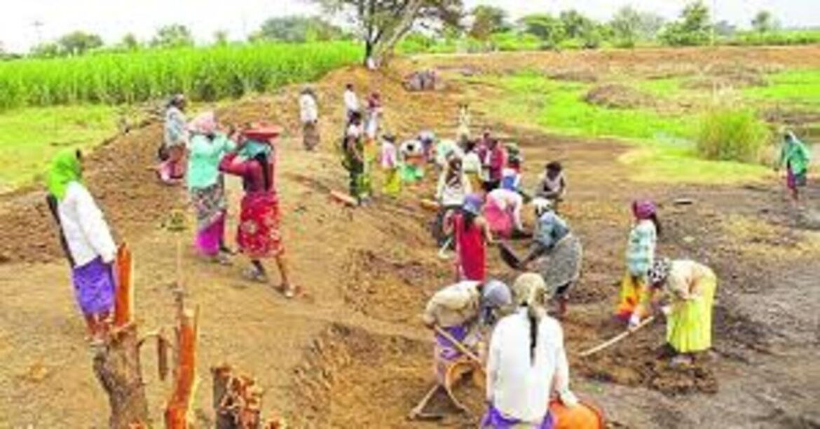 MGNREGA work continues without disruption in Jharkhand and other states.