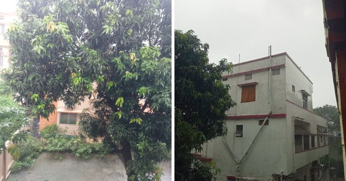 Heavy Rain in Jharkhand