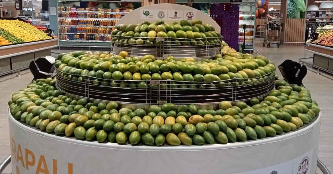 Jharkhand Amrapali Mango Export