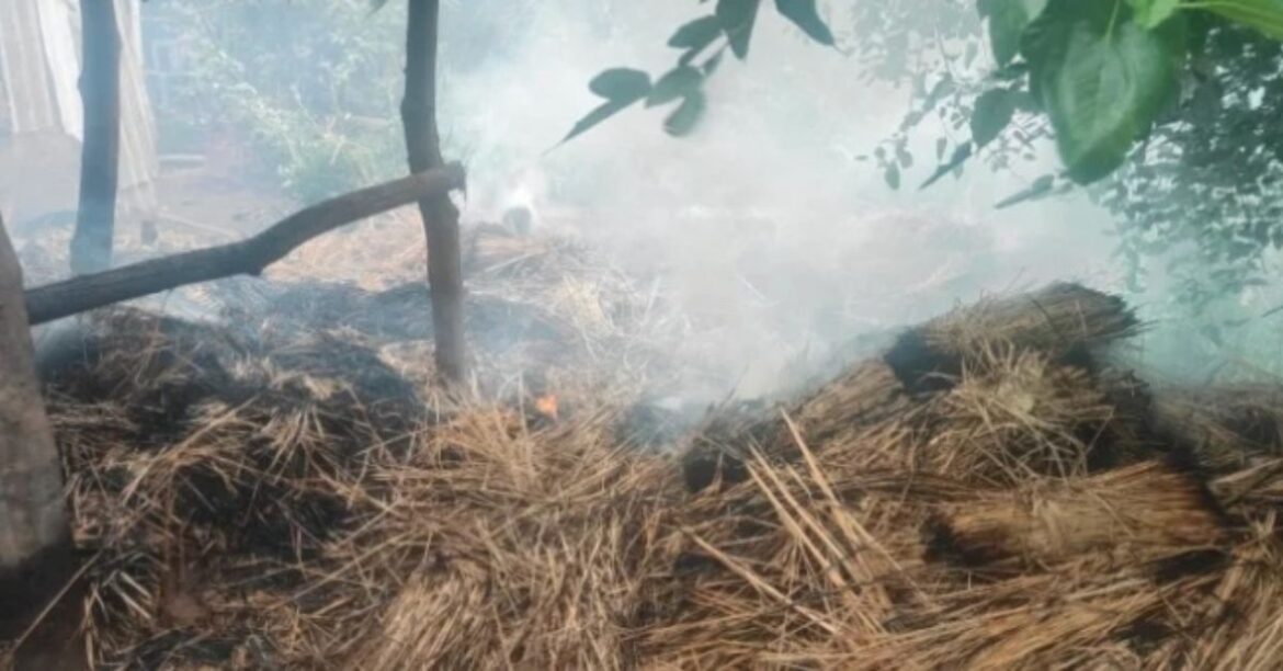 Kiriburu Fire New
