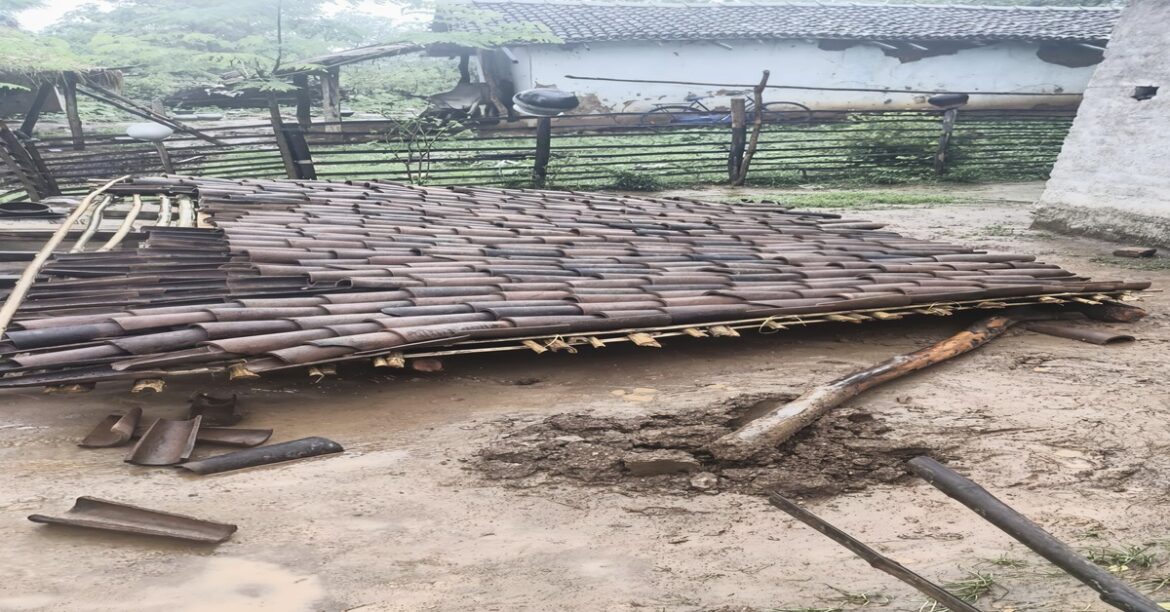 Goilkera Malaria Survey Accident – Roof Collapse Injures Health Workers