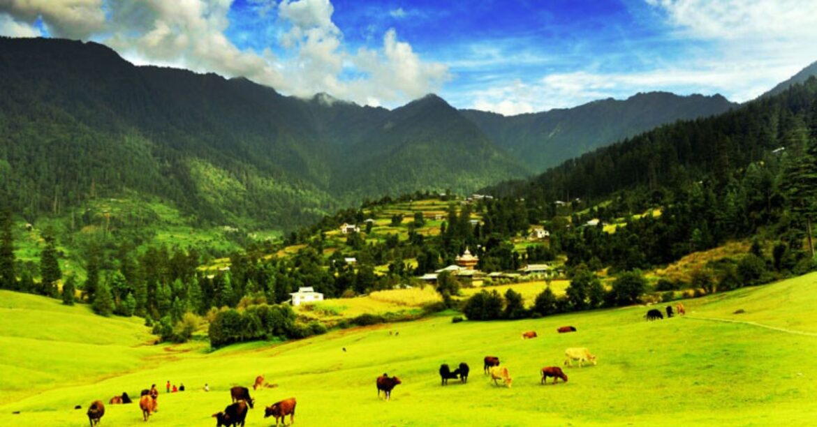 यात्रा वृतांत