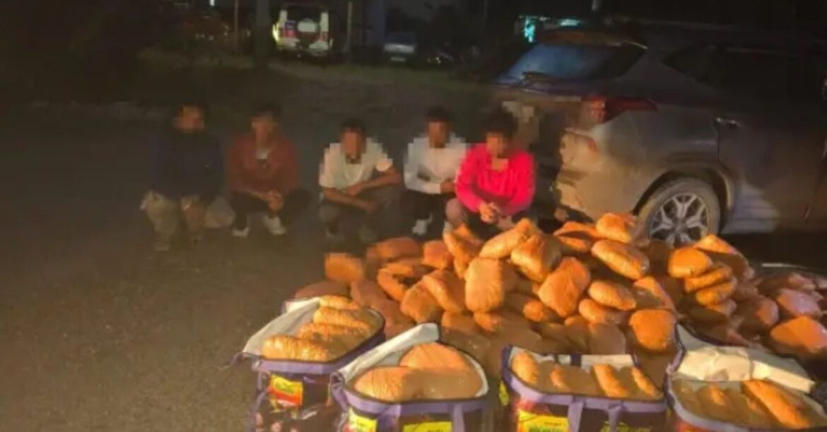Khunti Ganja Seized