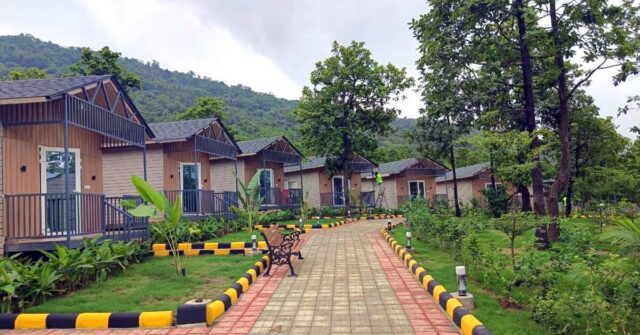 dalma tourism