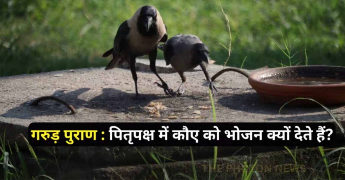 Feeding Crows In Pitru Paksha