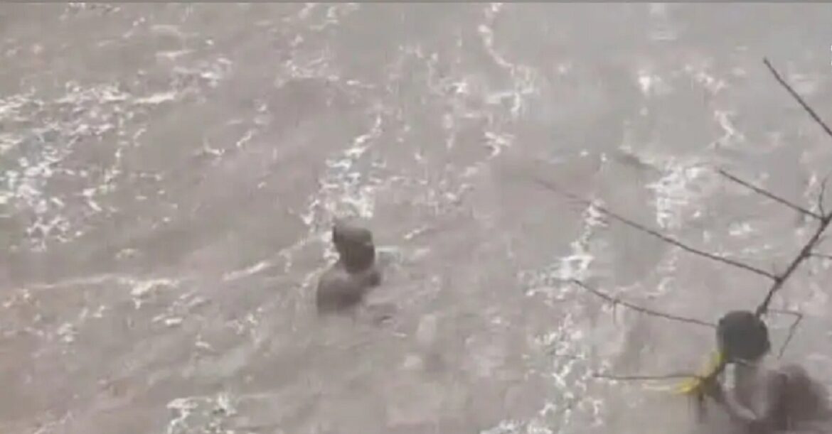 koderma-accident-vrindaha-waterfall-student-drowned